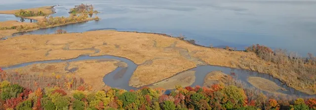 Virginia Dyke Marsh Wildlife Preserve Scene