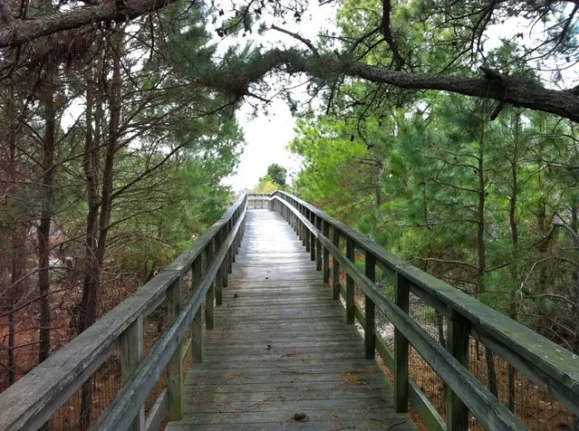 Virginia Kiptopeke State Park Scene