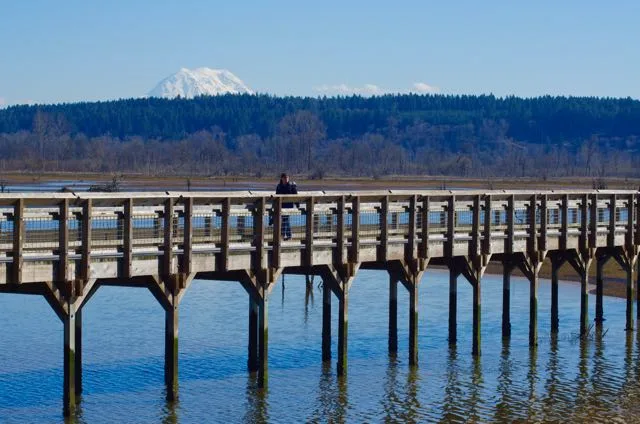 Washington Nisqually Estuary Map