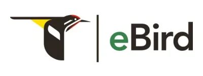 ebird logo