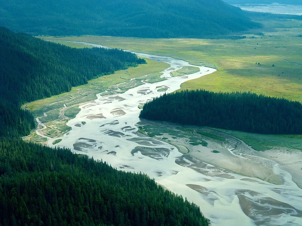 A wide shot of a braided river delta running between fields and forest.