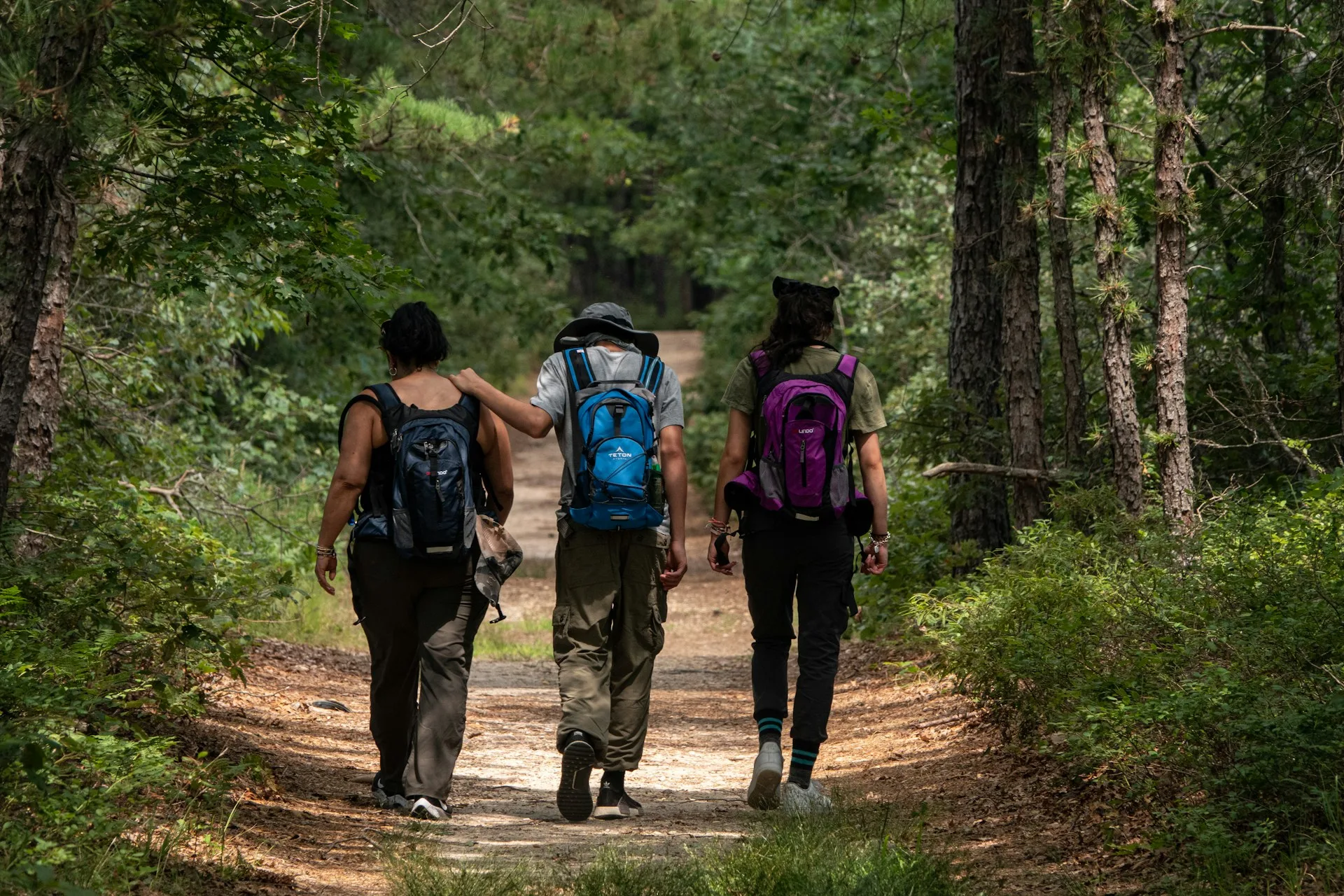 A group of 3 people are walking along a trail in a forest.