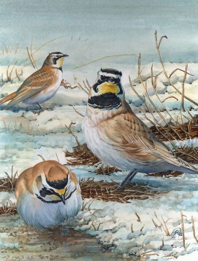 A painting of 3 small colorful birds in the snow.