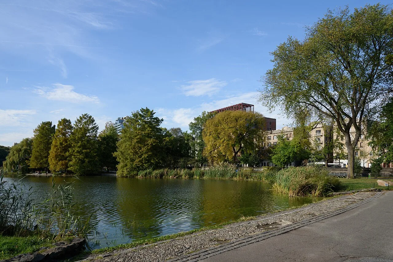 A Central Park lake with trees in the background.