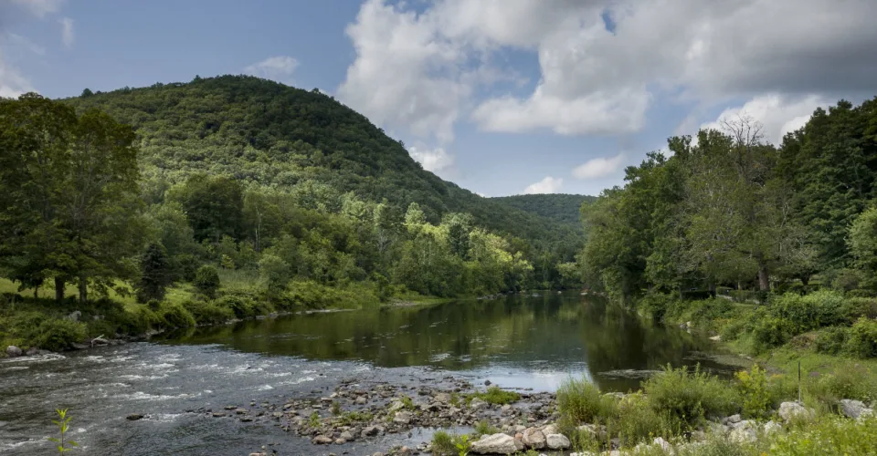 A river running through lush green forests and hills.