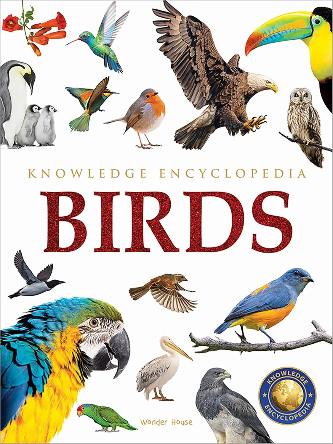 Animals-Birds: Knowledge Encyclopedia for Children