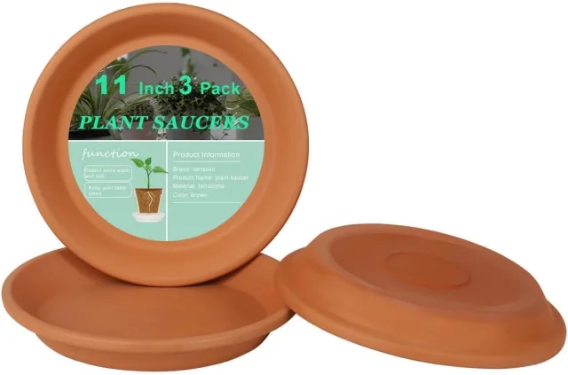 terracotta plant saucers